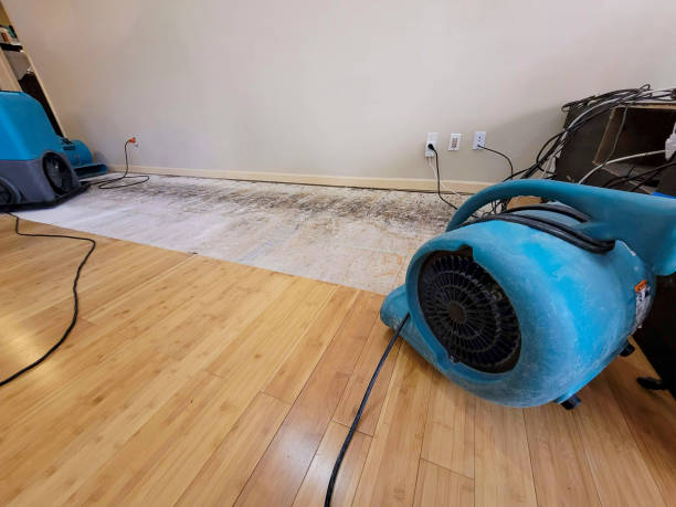 Professional Sewage Cleanup technician working in Shawnee, CO